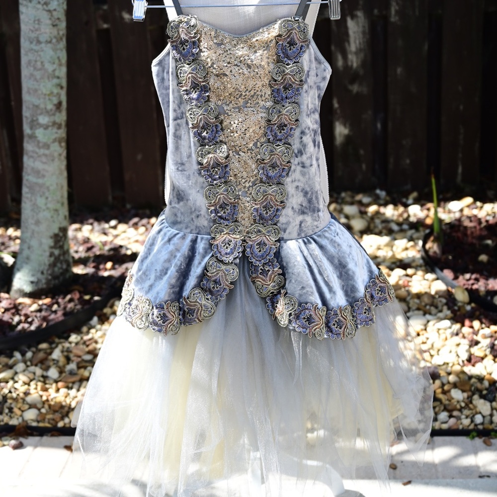 Grey and Gold Velvet Sequin Ballet Costume